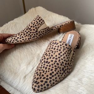 STEVE MADDEN mules
